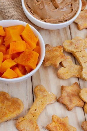 Can My Dog Eat Pumpkin basic commands