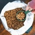 What's Really Going On with UK Pet Food Regulations?