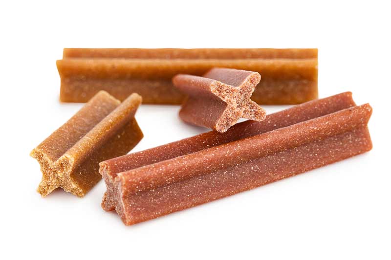 Dental chews for dogs