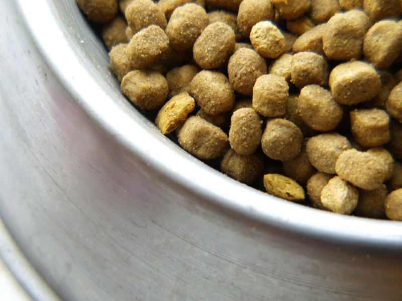 Dry dog foods and fussy eating