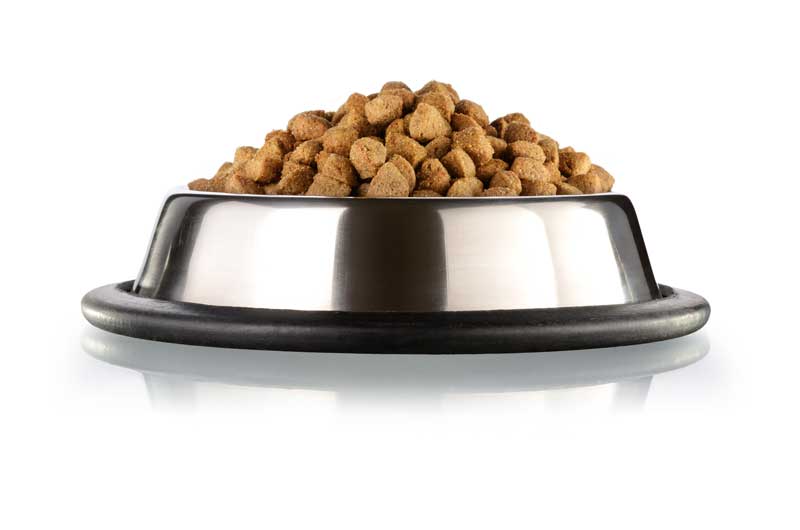 Choosing Dog Food: Unlocking Optimal Nutrition and Health for Your Dog