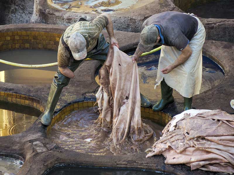 Rawhide production in Morocco