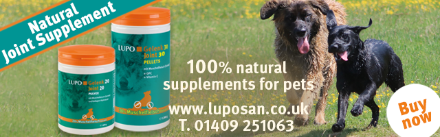 100% Natural Joint Supplements for Pets