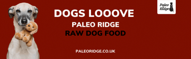 Get 20% off your first Paleo Ridge order today!