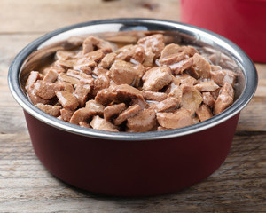 Best Wet Food