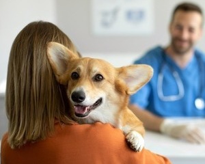 common health issues