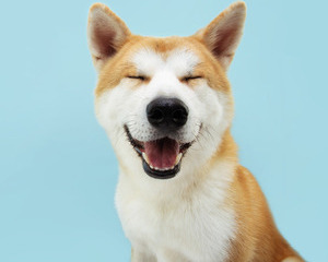 Free Dog Food Samples Now Available!