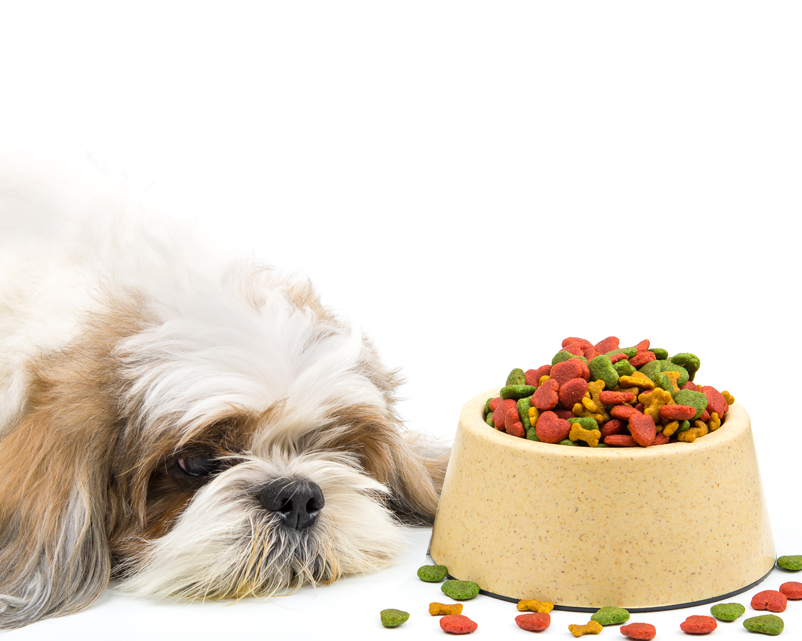 Picky dog shop