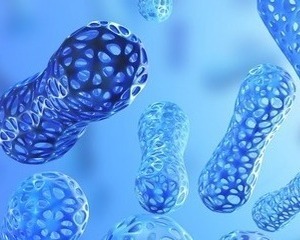 gut health