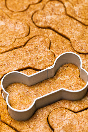 Peanut Butter Treats Peanut Butter