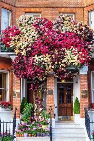 Dining with Dogs - The Egerton House Hotel - Knightsbridge, London The Egerton House Hotel - Knightsbridge, London