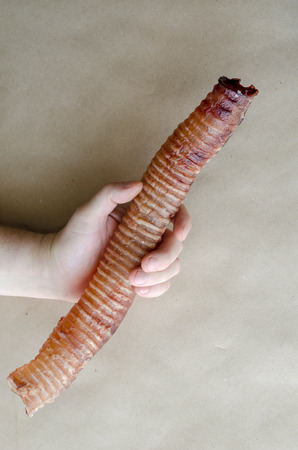 Beef Trachea - A Joint-Boosting Natural Chew for Dogs