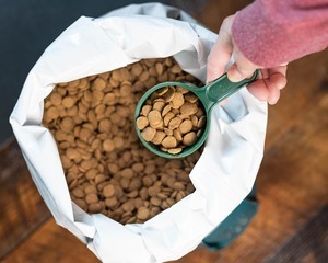 What's Really Going On with UK Pet Food Regulations?