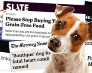 Boutique dog food heart disease 2025