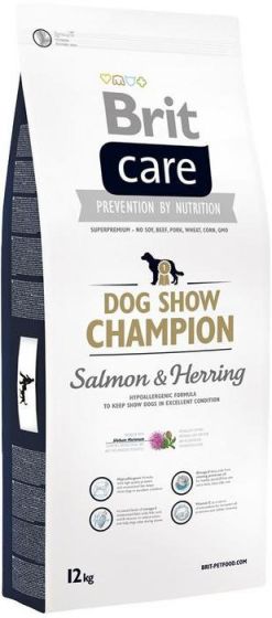 brit care dog show champion