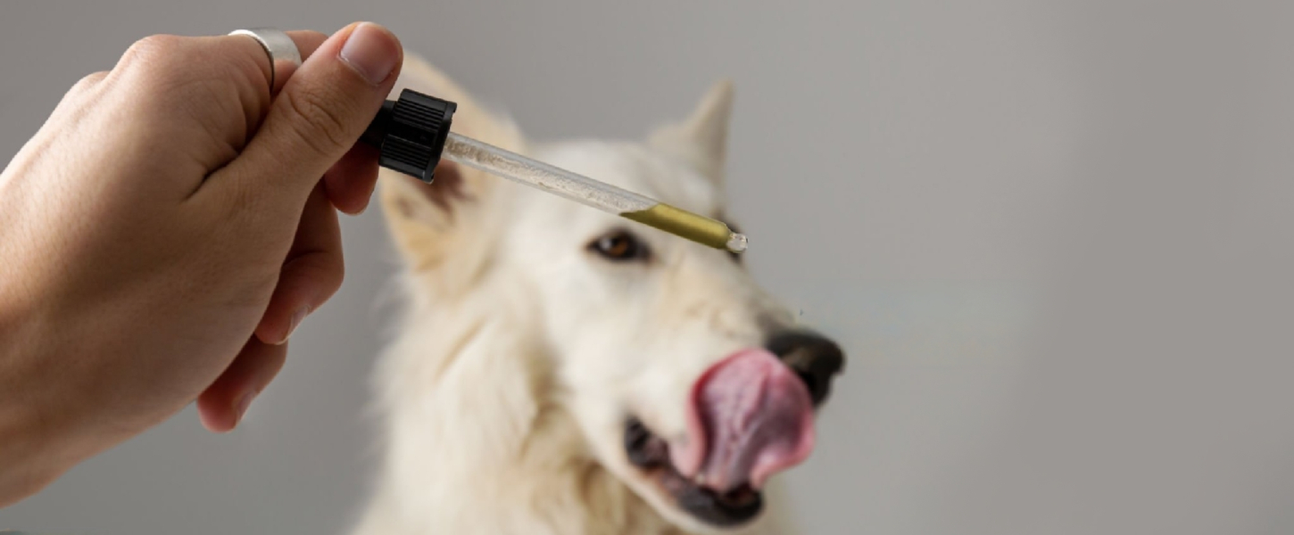 Supplementing your dog�s diet. Part 1: Oils