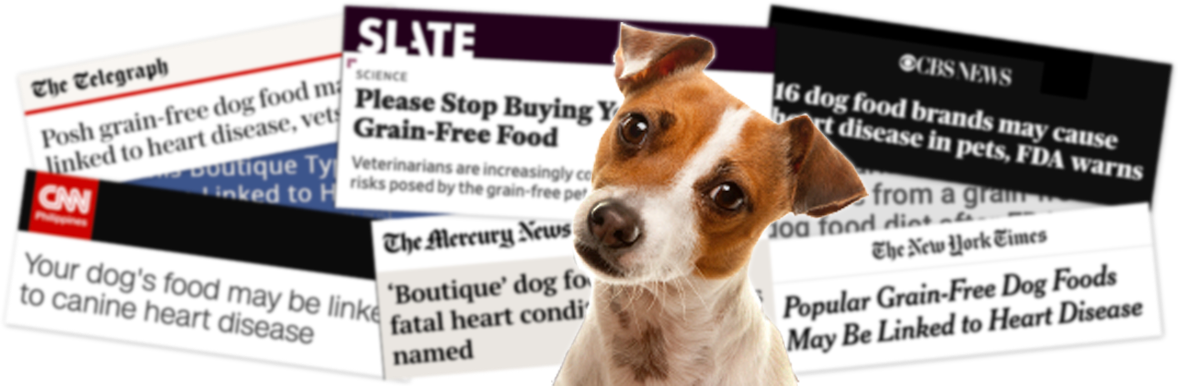 grain free dog food heart failure
