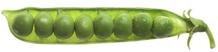 peas in pet food