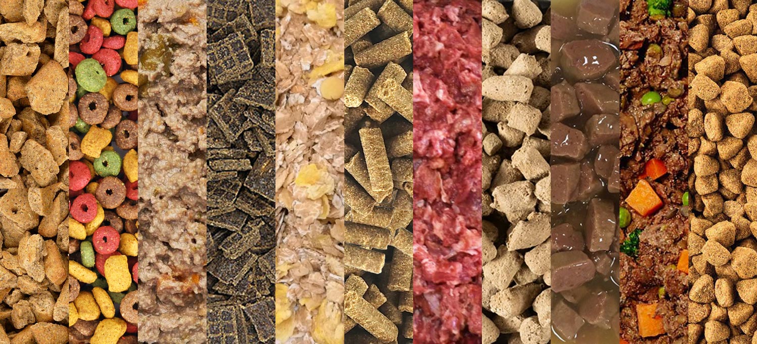Types of dog food - so much more than tins and biscuits