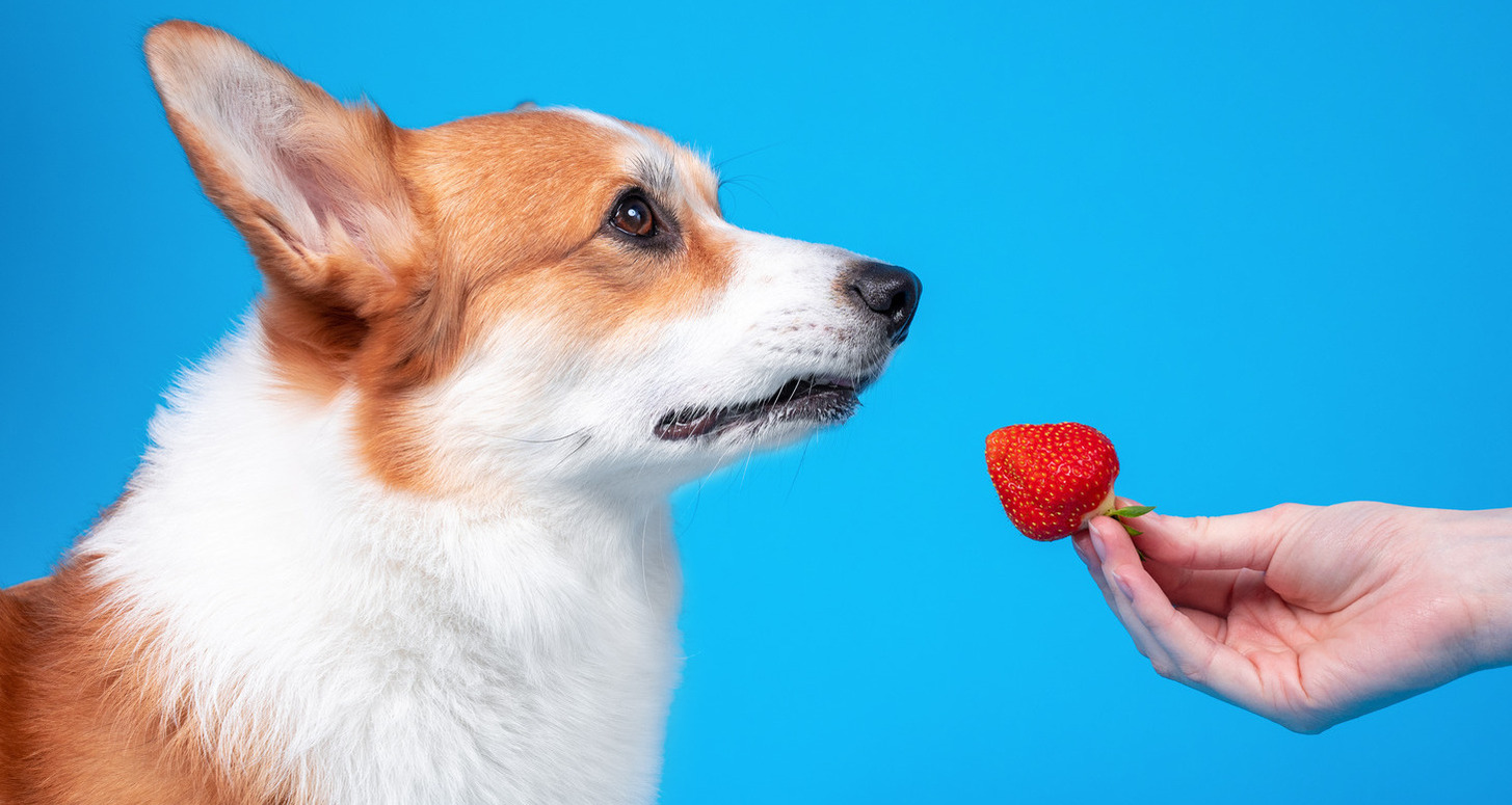 safe strawberries