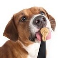 Is Peanut Butter Safe for Dogs?