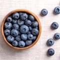 Superfoods for Dogs - What to Add to Your Dog's Diet