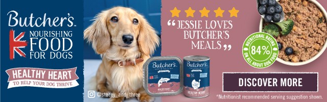 Butcher s Healthy Heart Foil Review All About Dog Food